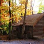 ER58 - Blue Heaven - Great location! Close to all the action! cabin Pigeon Forge Tennessee