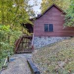 ER38r Grandpa's Getaway - Great location- Close to town cabin Tennessee