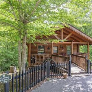 ER44 - Rising Eagle - Great Location! Close To Town! cabin