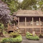 ER206 - Mountain Rendezvous Great location - Close to town! cabin Tennessee