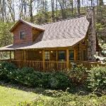 ER51 - Natures Grace Retreat - Great location Close to all the action! cabin Pigeon Forge