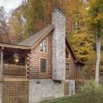 ER302 - Best of Times Great Location-Close to Town cabin Tennessee