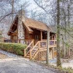 ER45 - Tin Pan Alley - Great location Just across from swimming pool! cabin Tennessee