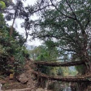Odyssey Stays Nongriat - 3Kms trek from Main Road