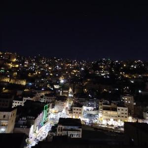 Cozy Apt in amman with a view