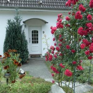 Haus Lena