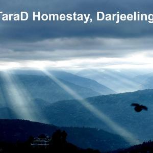 TaraD Homestay