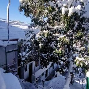Paras homestay
