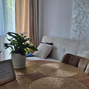 Great Apart Imielin 2