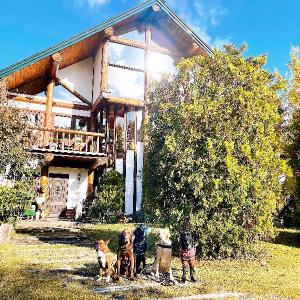 Hakuba Log Hotel Meteor