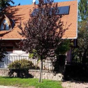 Holiday home in Fonyod/Balaton 18705