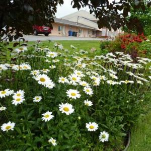 Motel Becancour