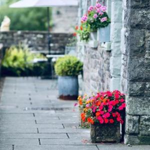 Ty Croeso Boutique B&B