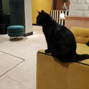Hotels near Bobino Paris - Denfert-Montparnasse