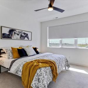 Stylish Pet Friendly Home for Work & Relaxation