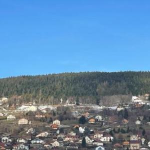 Bright nest with mountain view in Gérardmer
