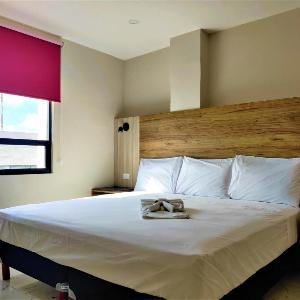 Hotel Central Merida by Kavia