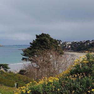 Appartement avec balcon VUE MER plage de Trestraou à PERROS-GUIREC - Réf 903