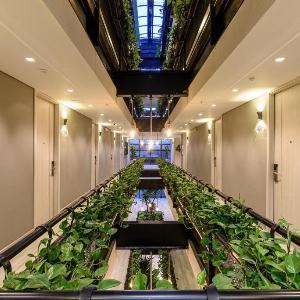 4 Sur Hotel