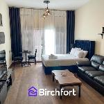 Birchfort - High Quality Spacious Studio Dubai 