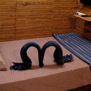 Summe r #5.5 - Co-living Concept - Rent Room Only