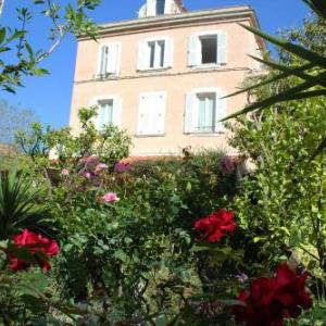 Hôtel Les Palmiers