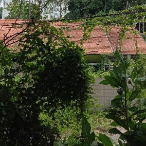 Apartment CandiLand Candisari Semarang Lt 20-1 BR