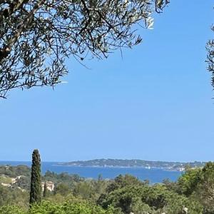 Restanques de Saint Tropez - arums