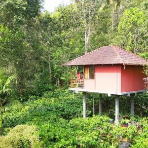 Tree House