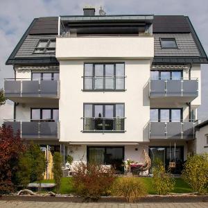 Amsel - Vogelhaus