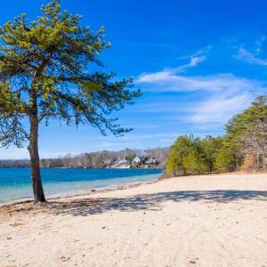 Nature Lover's Pondside Getaway