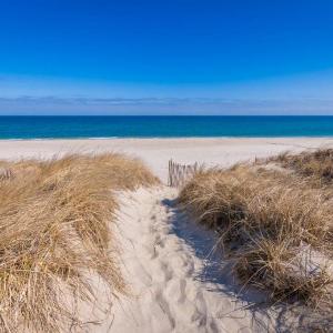 Sand Sun Serenity: Cape Cod Escape