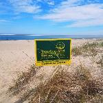 Whip-o-Will Woods: Dog-Friendly Cape Cottage Harwich Massachusetts