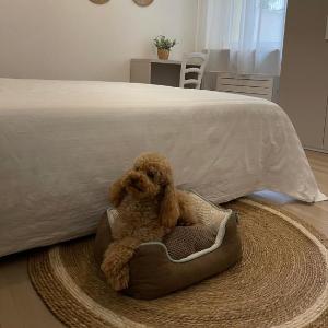 Affittacamere Casa Lilibet