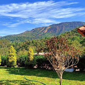 Hill Crest Resort - Coorg