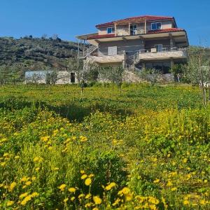 Guest House Ilir