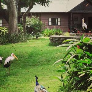 Mount Meru Game Lodge