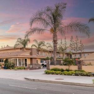 Hotels near Disney California Adventure Park - Anaheim Islander Inn And Suites