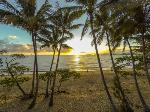 Palm Cove Australia Hotels - Marlin Waters Beachfront Apartments