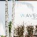 Hotels near Byron Events Farm - Waves Hotel Byron Bay