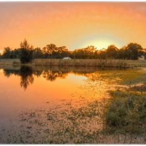 Madigan Wine Country Cottages