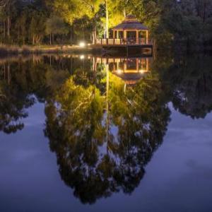 Forest Rise Chalets and Lodge