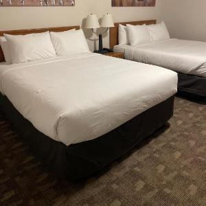 Hotels near Bonnetts Energy Centre - Anavada Inn & Suites - Grande Prairie