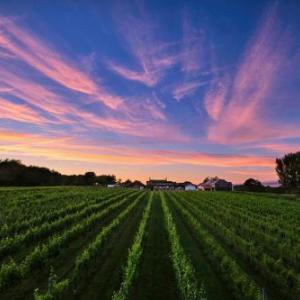 Hotels near Blackwood Miners Institute - Llanerch Vineyard Hotel