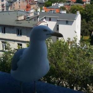 Sopot apartament z widokiem na Morze