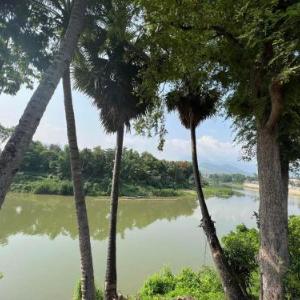Golden Lotus Namkhan View