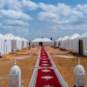 Desert Paradise Luxury Camp