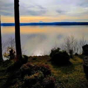 Judys Island Getaway179
