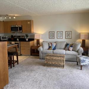 Deluxe Condo with Pool View Free Parking & Wi-Fi