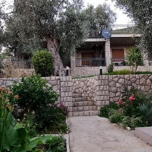 Rustic Olive House